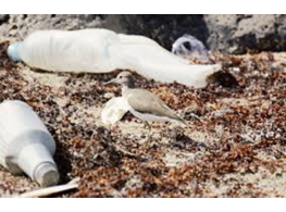 دورة تدريبية