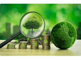 دورة تدريبية